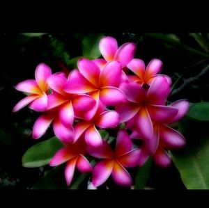 Meet your Posher, Gale